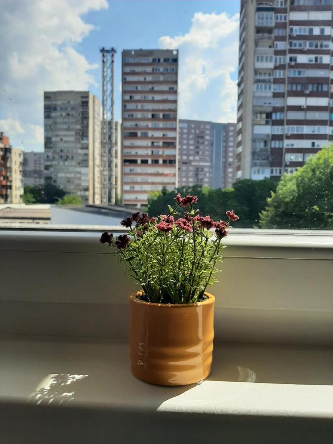 Apartamento Amigi SJJ Exterior foto